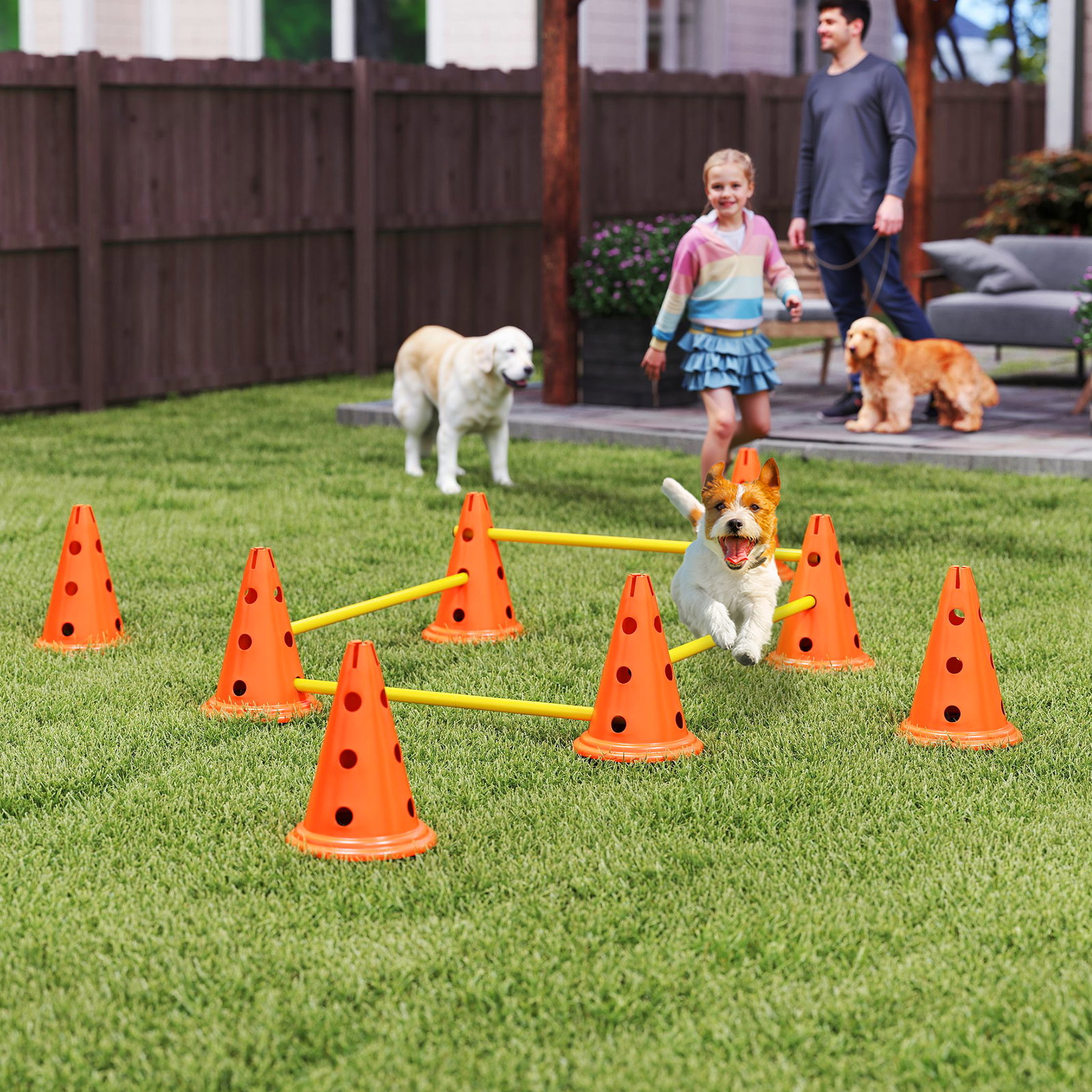 Conjunto de agilidade para cães barreiras de obstáculos para treino de coordenação 8 cones 8 barras bolsa de transporte laranja