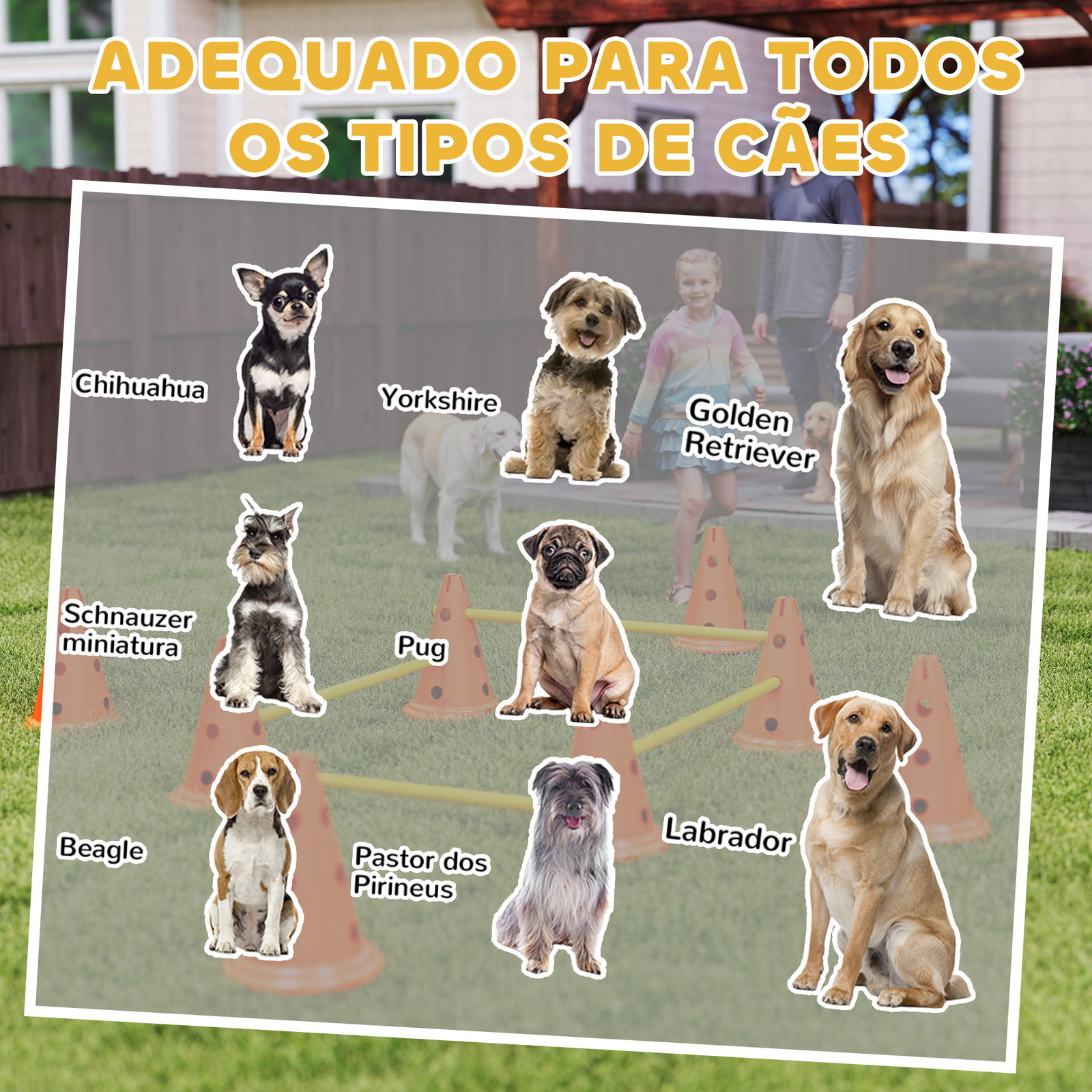 Conjunto de agilidade para cães barreiras de obstáculos para treino de coordenação 8 cones 8 barras bolsa de transporte laranja