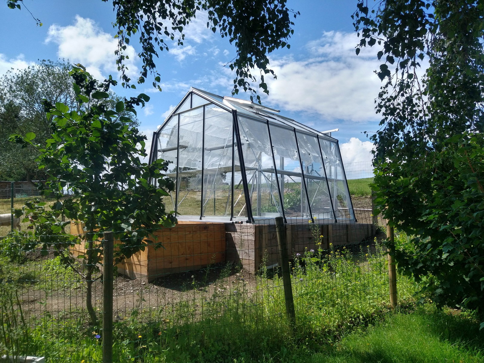 Estufa de Vidro Vega – 9,12 m²