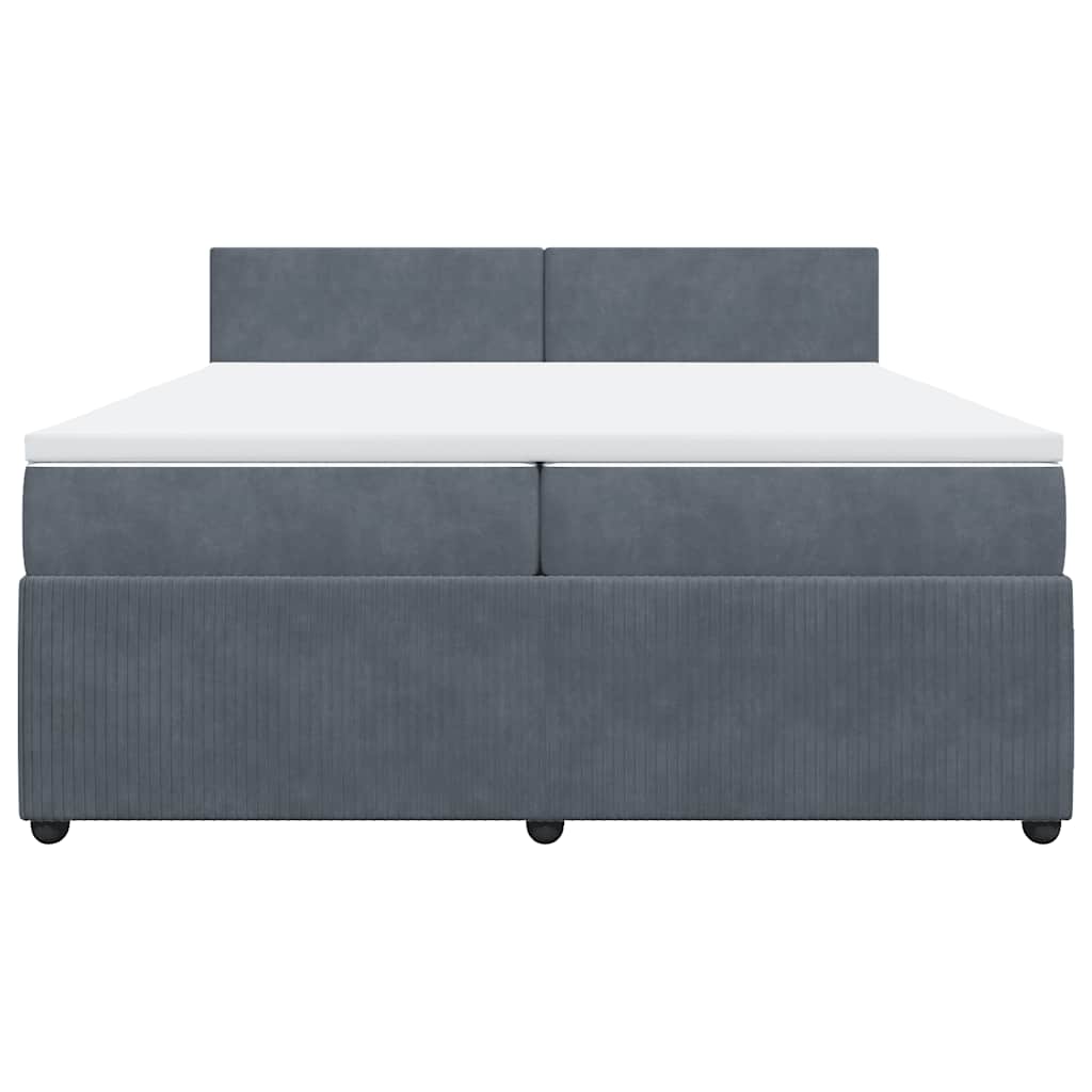 Cama com molas/colchão 200x200 cm veludo cinzento-escuro