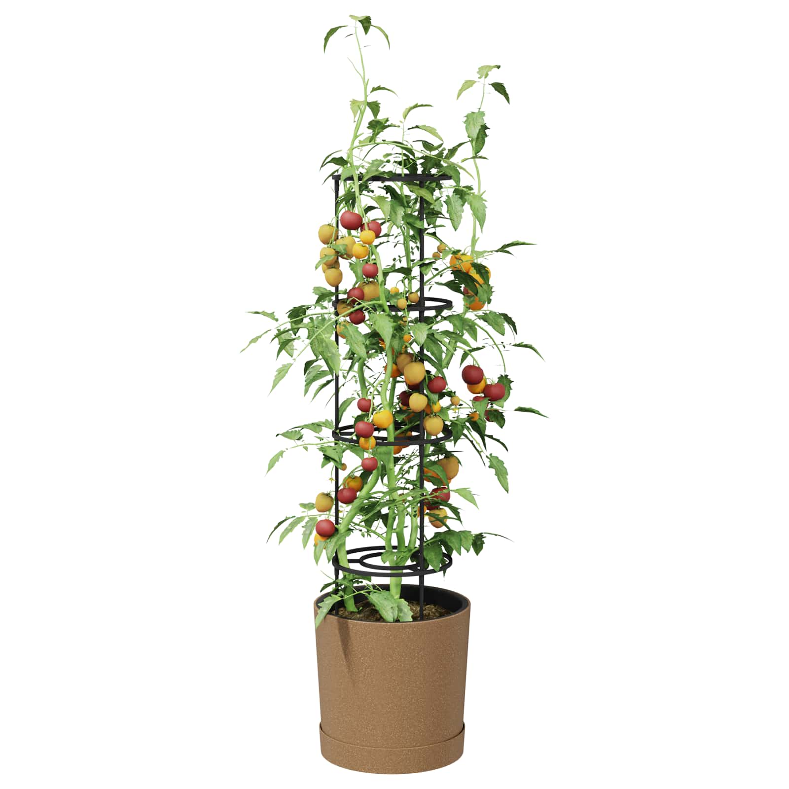 Cultivador de tomates naturo eco ø 39 x 139 cm wpc
