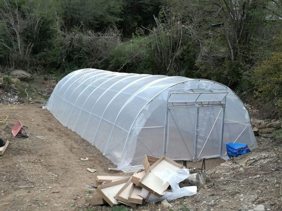 Estufa Modelo PRO 6 x 42 m – 252 m²