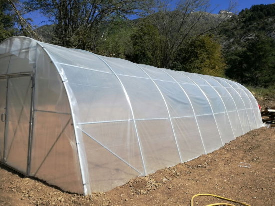 Estufa Modelo PRO 6 x 42 m – 252 m²