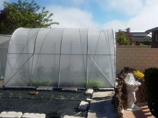 Estufa Modelo PRO 4 x 4 m – 16 m²