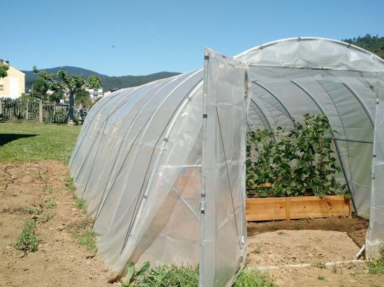 Estufa Modelo PRO 4 x 4 m – 16 m²