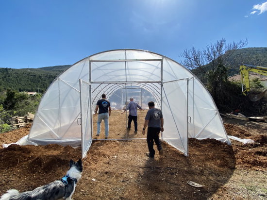 Estufa Modelo PRO 8 x 12 m – 96 m²