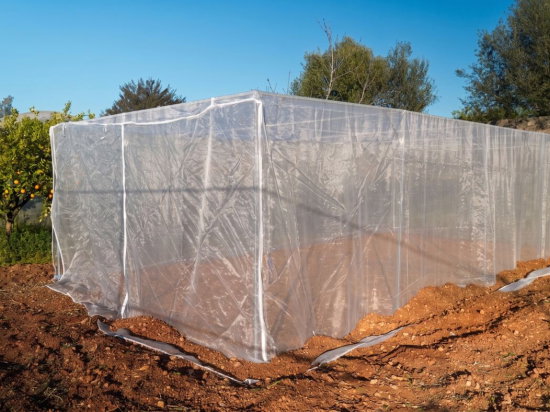 Estufa com Rede Anti-Trips 4 x 10 m – 40 m²