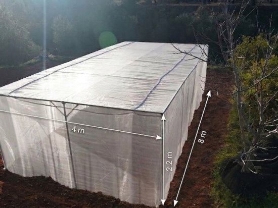 Estufa com Rede Anti-Trips 4 x 10 m – 40 m²