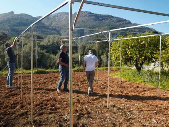 Estufa com Rede Anti-Trips 4 x 10 m – 40 m²