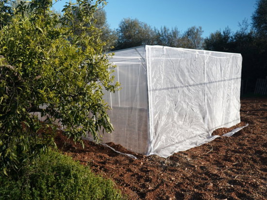 Estufa com Rede Anti-Trips 4 x 10 m – 40 m²
